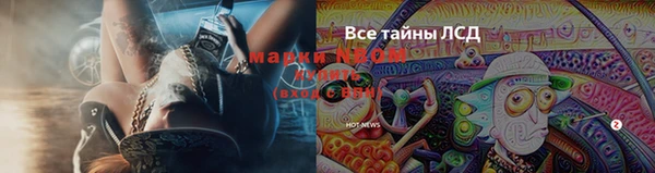 твердый Богородицк