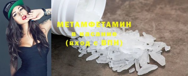 стафф Богданович