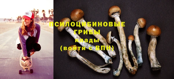 стафф Богданович